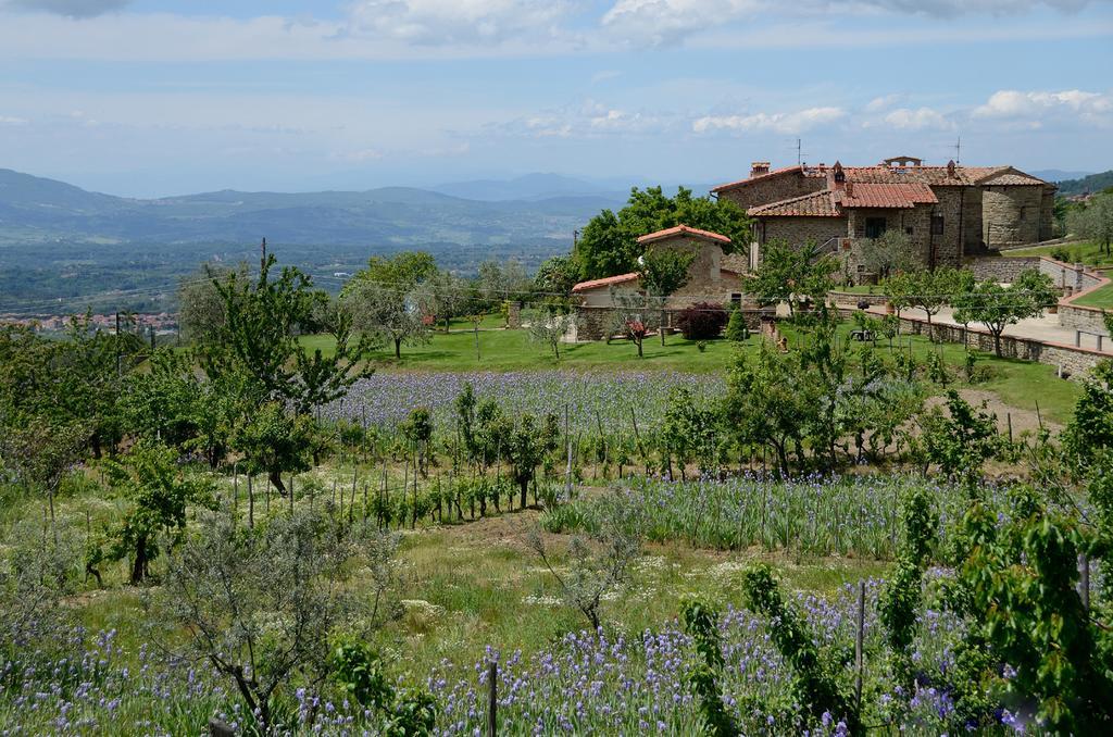 Agriturismo Villa Iris Castelfranco di Sopra Екстериор снимка