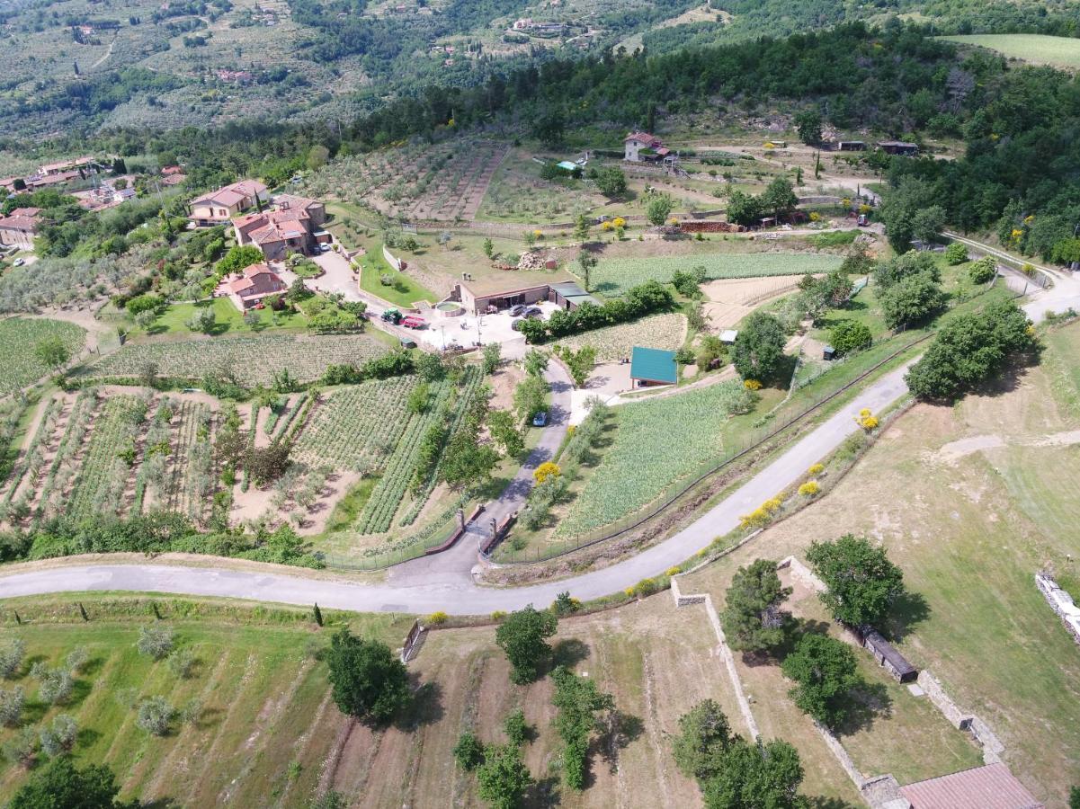 Agriturismo Villa Iris Castelfranco di Sopra Екстериор снимка